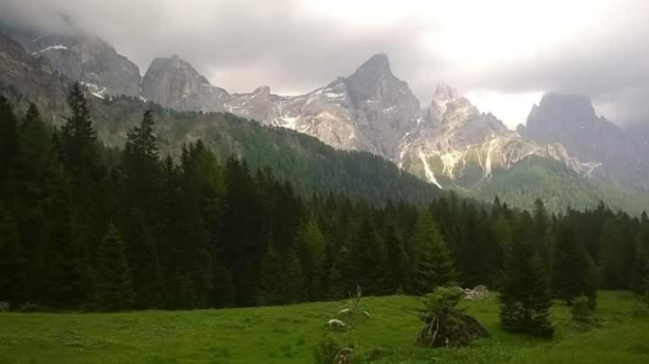 Hotel Garni Suisse San Martino Di Castrozza Zewnętrze zdjęcie