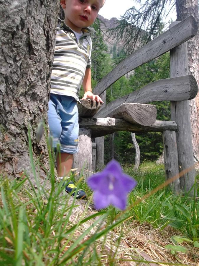 Hotel Garni Suisse San Martino Di Castrozza Zewnętrze zdjęcie