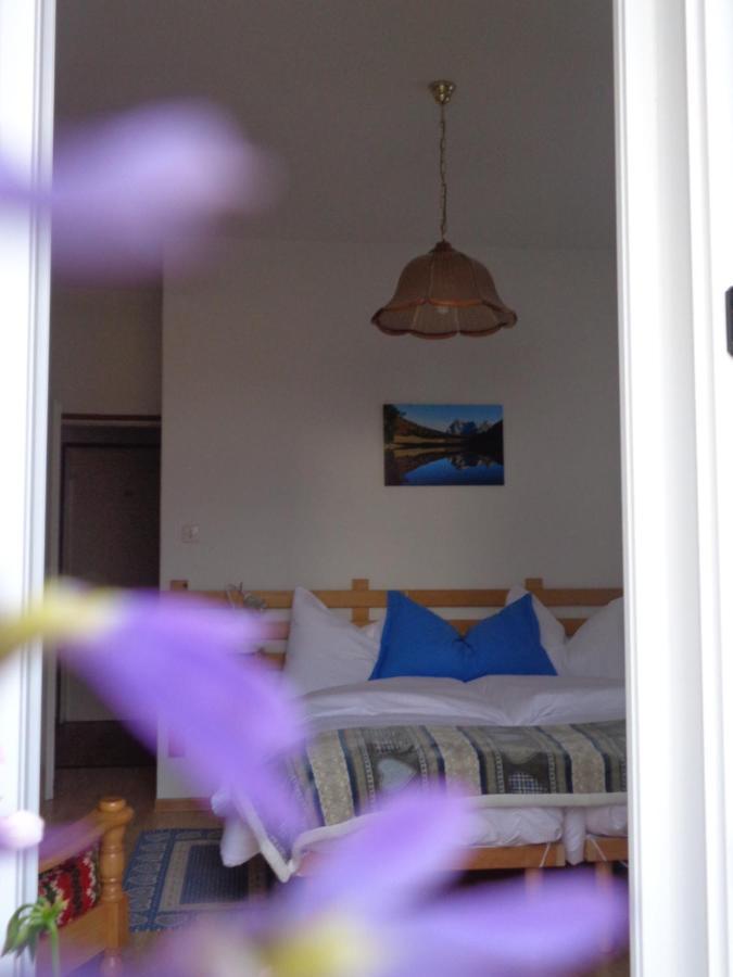 Hotel Garni Suisse San Martino Di Castrozza Zewnętrze zdjęcie