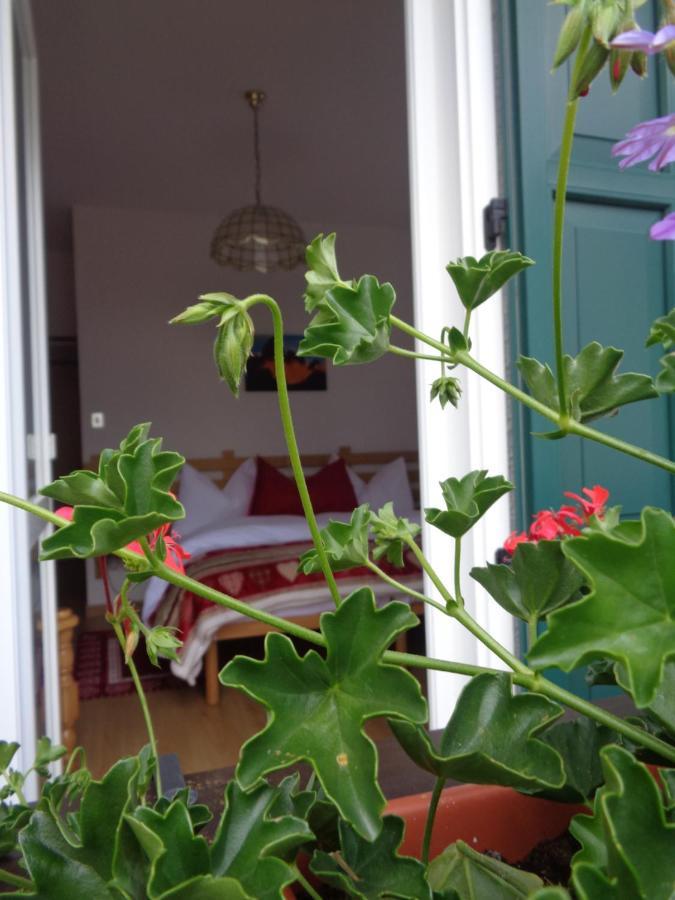 Hotel Garni Suisse San Martino Di Castrozza Zewnętrze zdjęcie